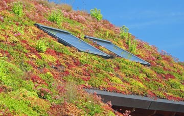 Redbourne living roof systems